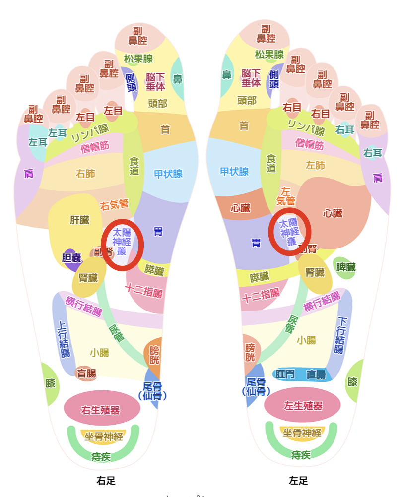 太陽神経叢 足ツボ